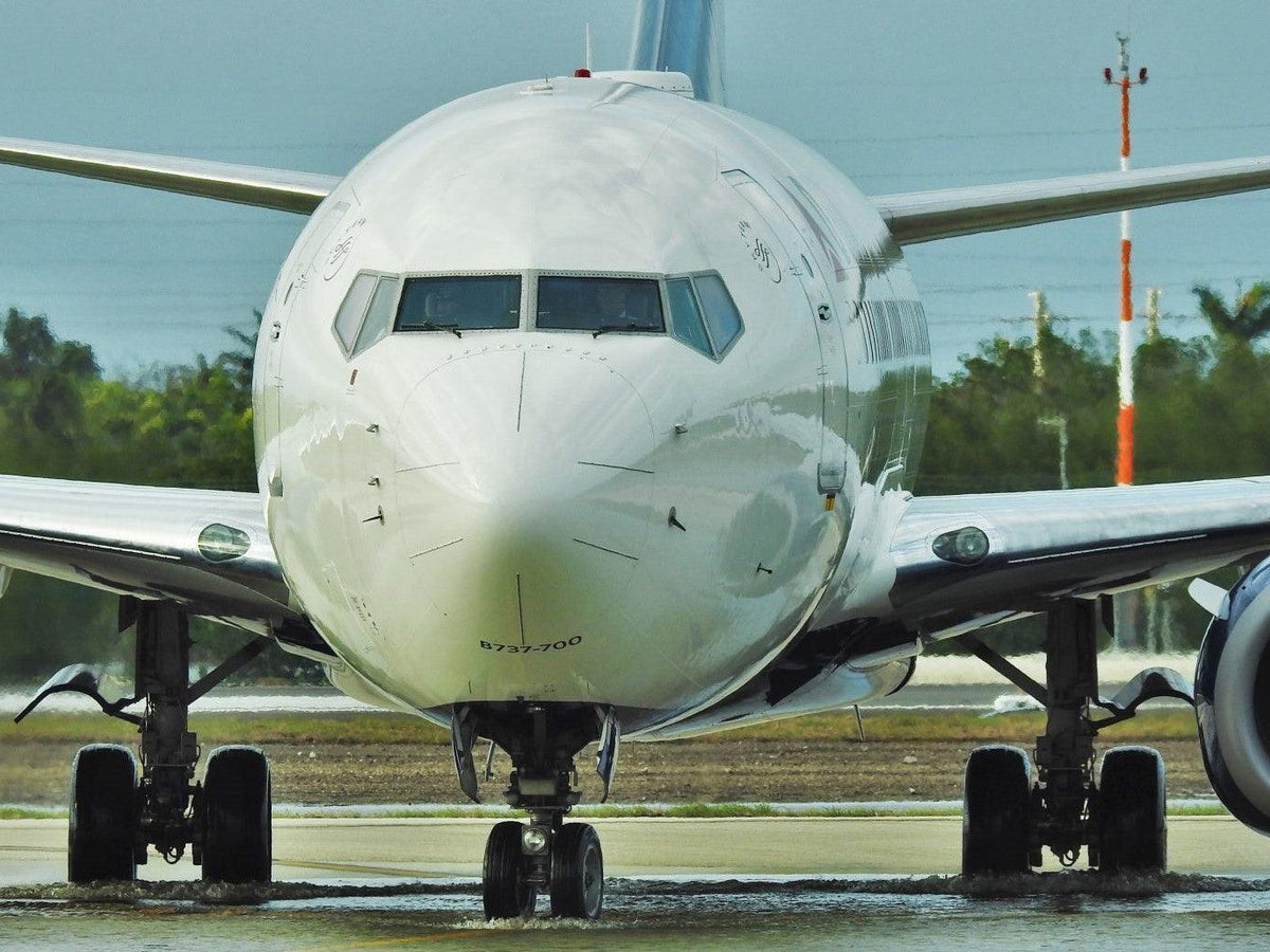 737 Flight Simulator Experience - Aerospace Experience