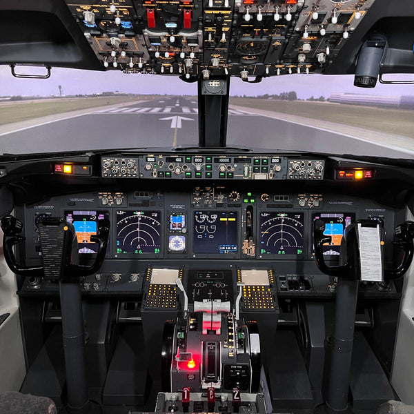 737 Commercial Flight Simulator Experience