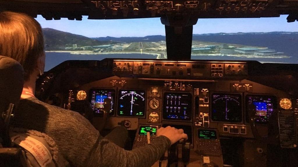 Level d flight sim 60 photos - Travelerscast.com